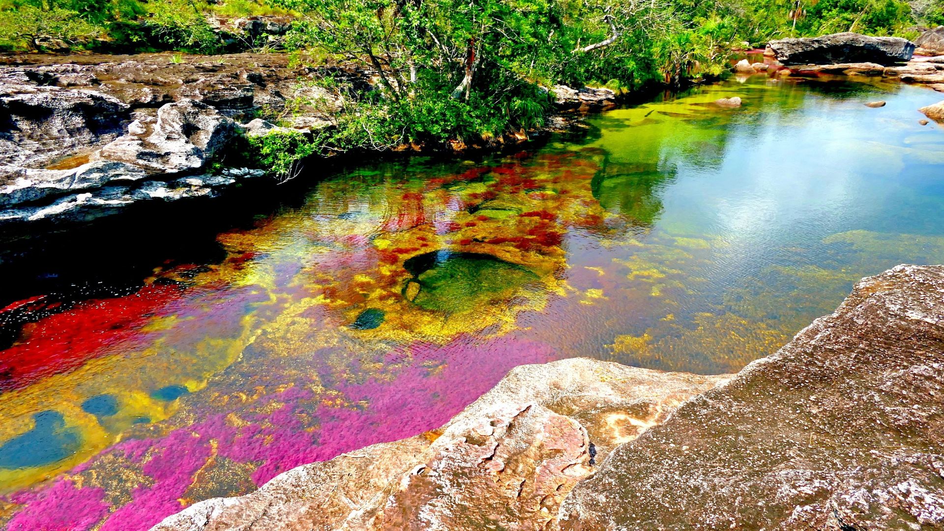 Caño Cristales