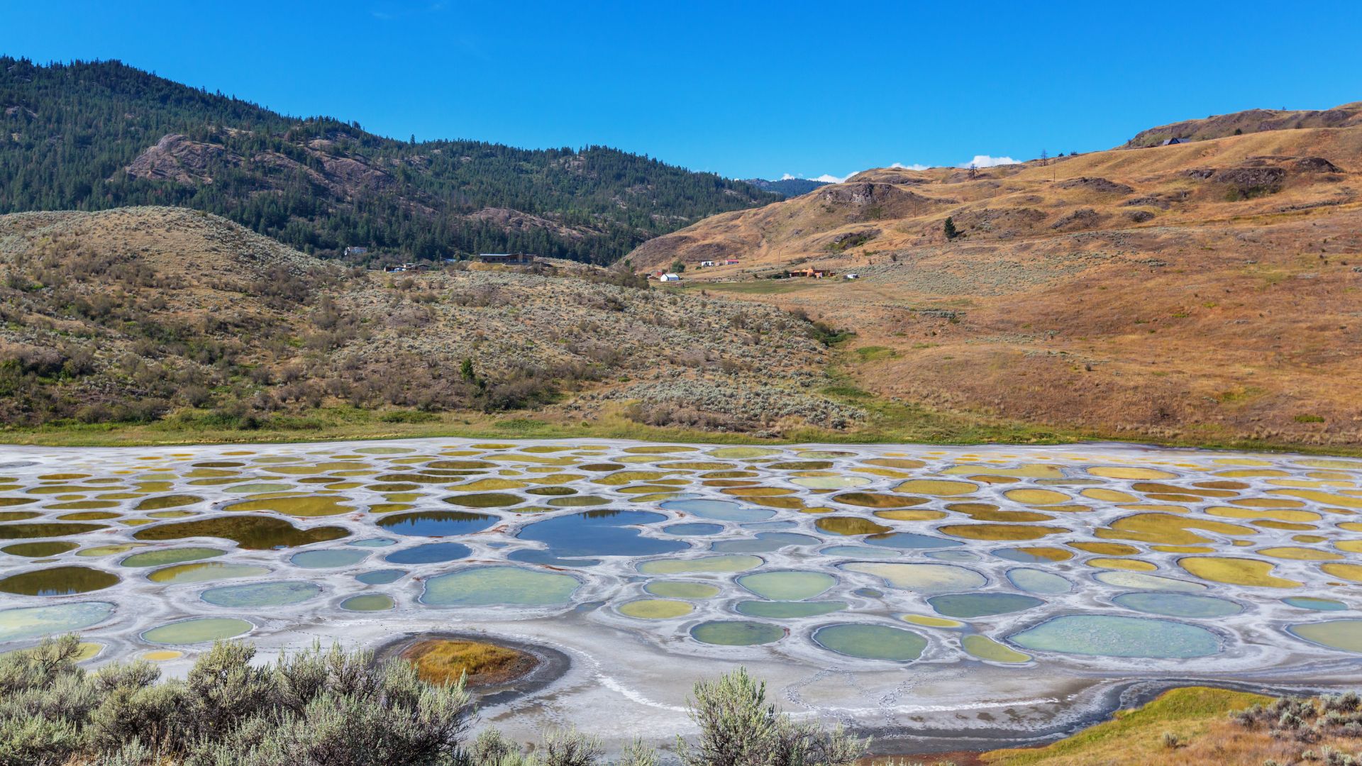 Spotted Lake