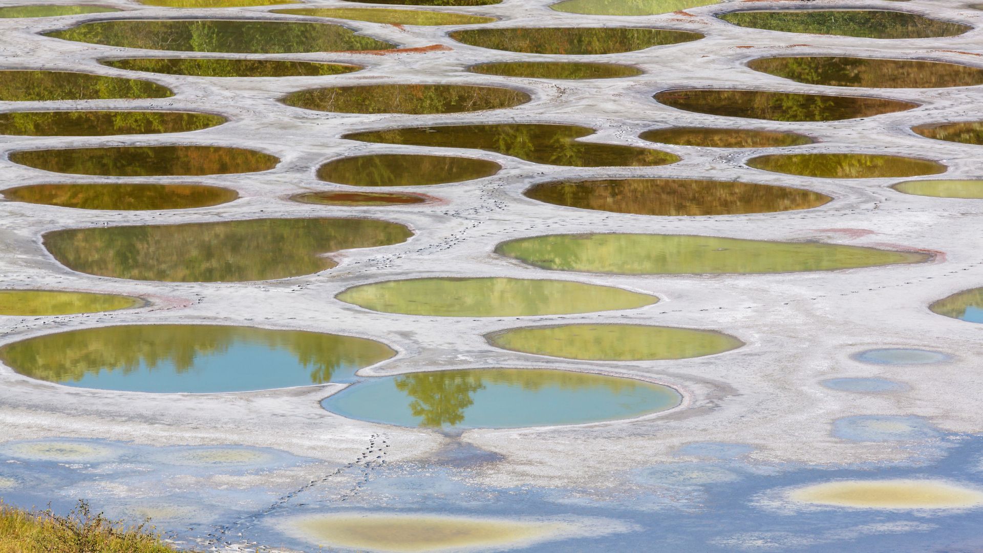 Spotted Lake
