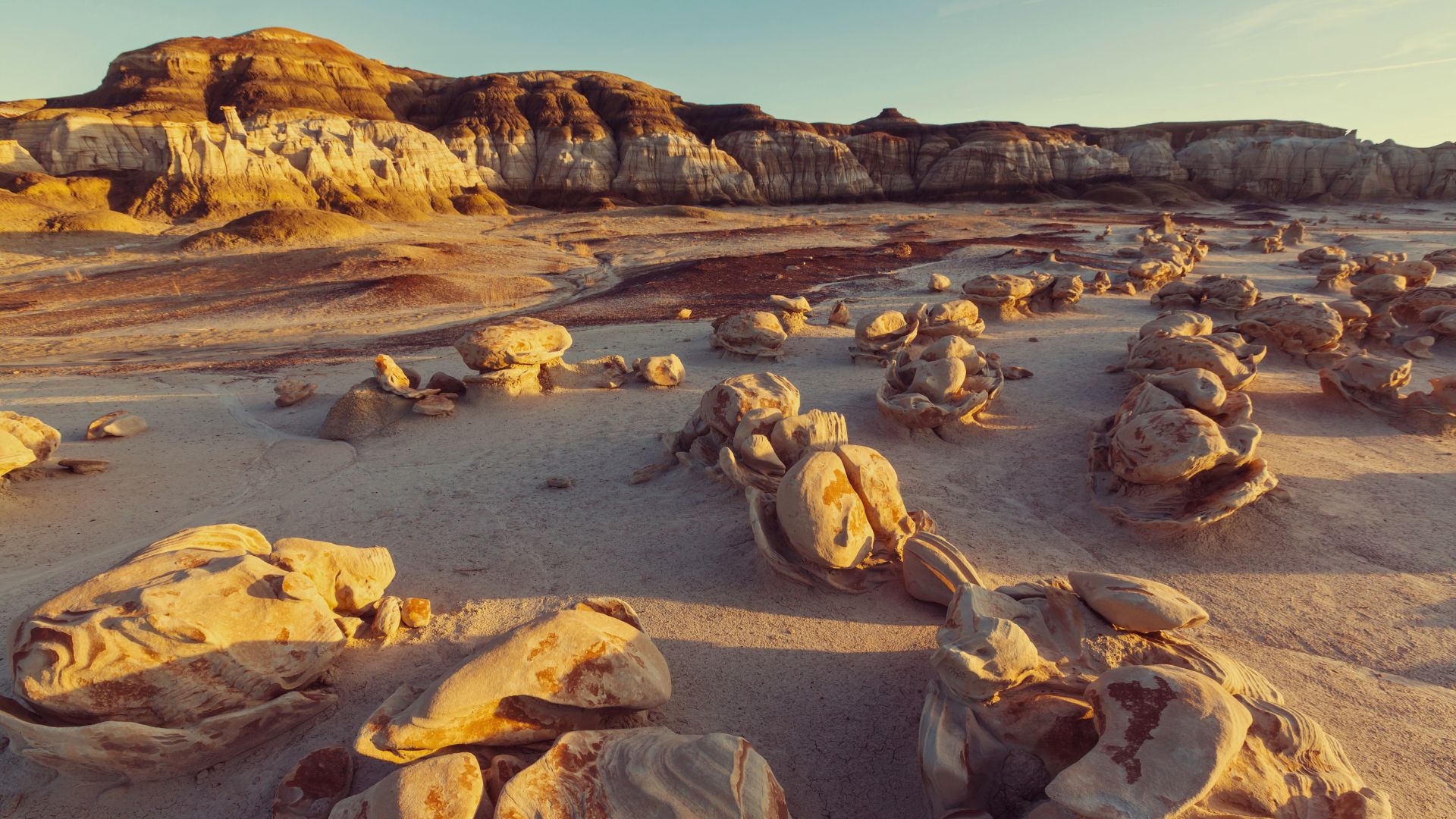 Bisti Badlands