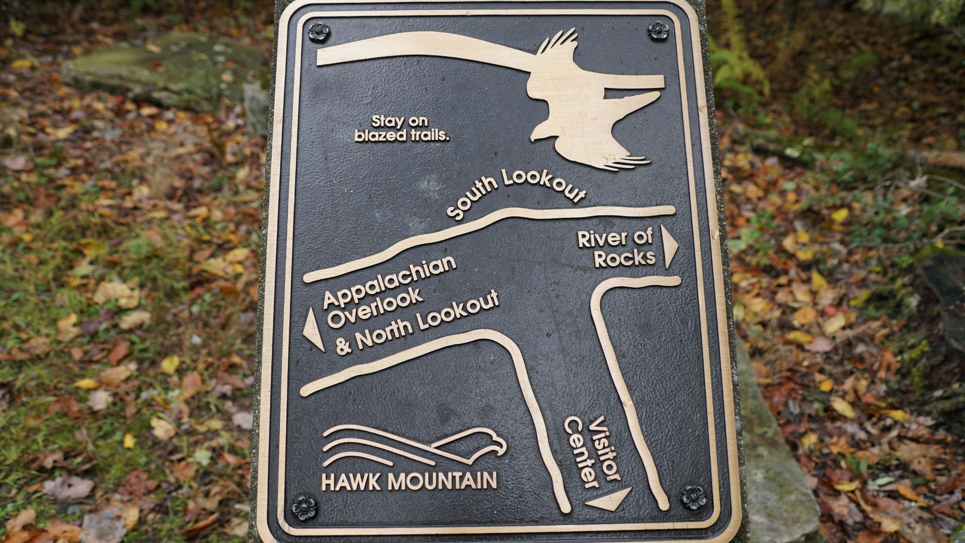 Hawk Mountain Sanctuary