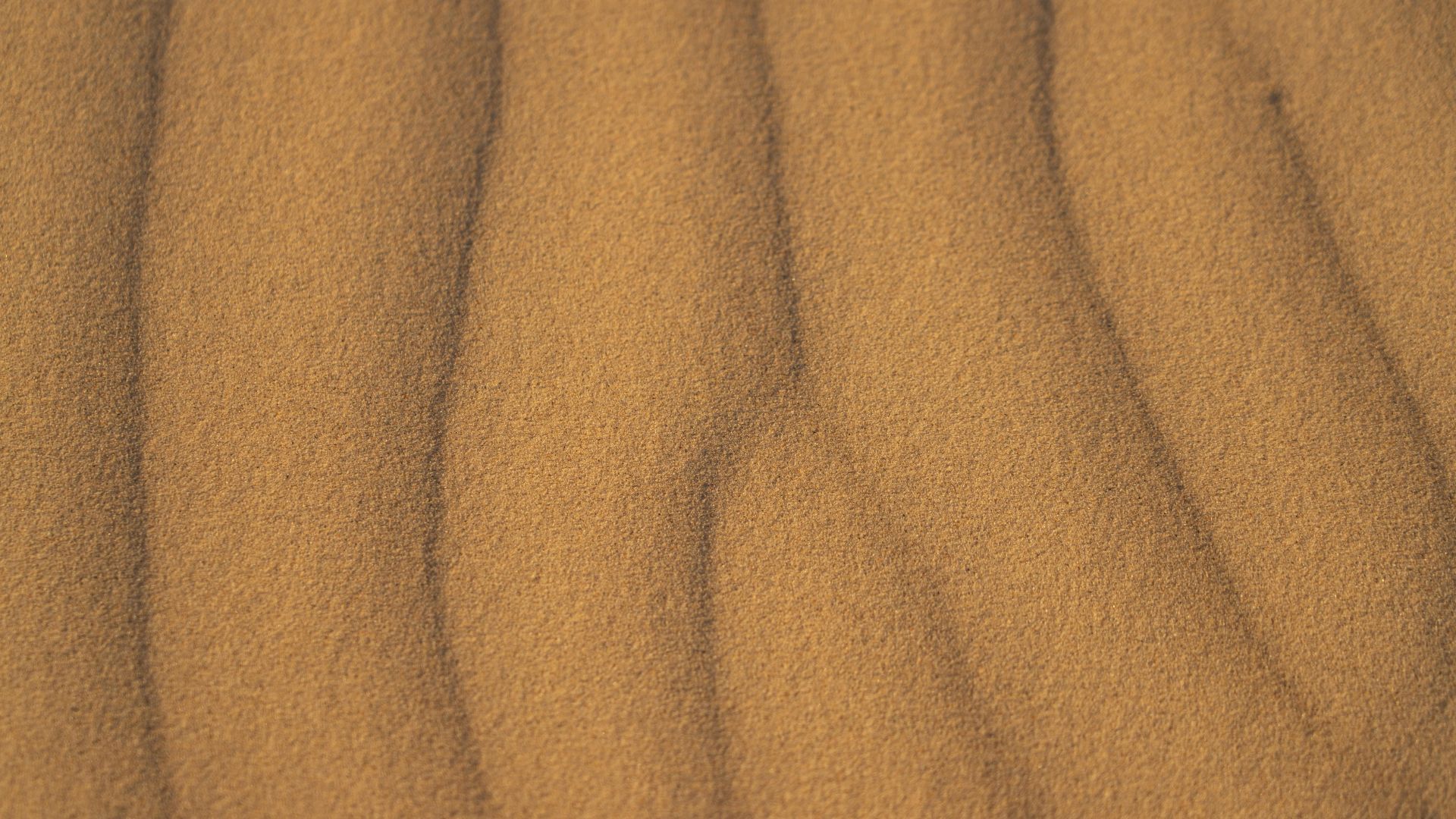 Monahans Sandhills