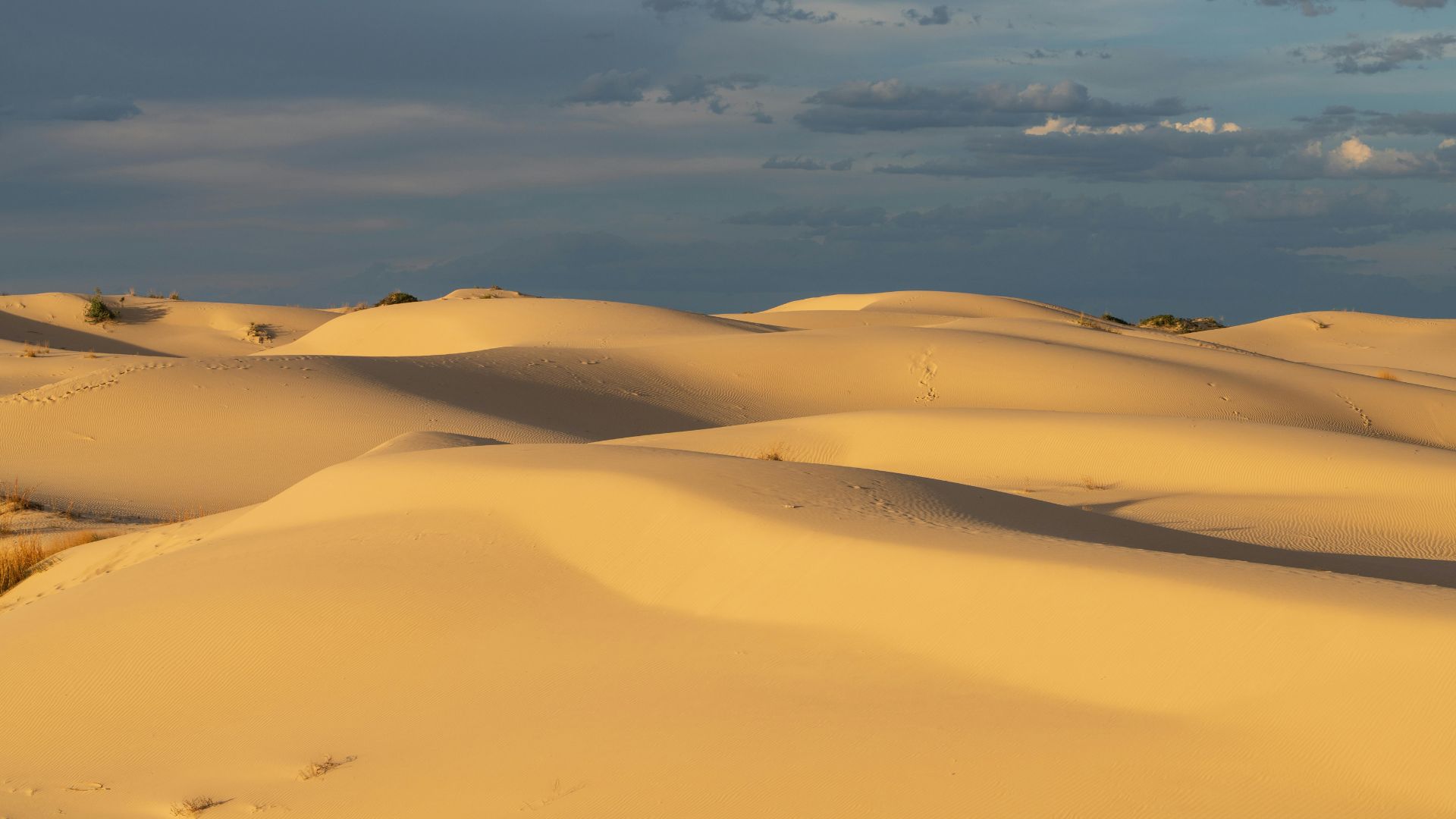Monahans Sandhills