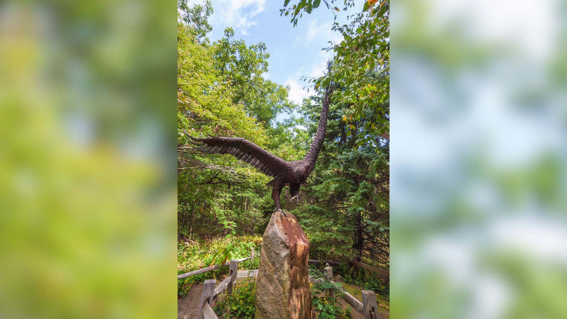 Hawk Mountain Sanctuary