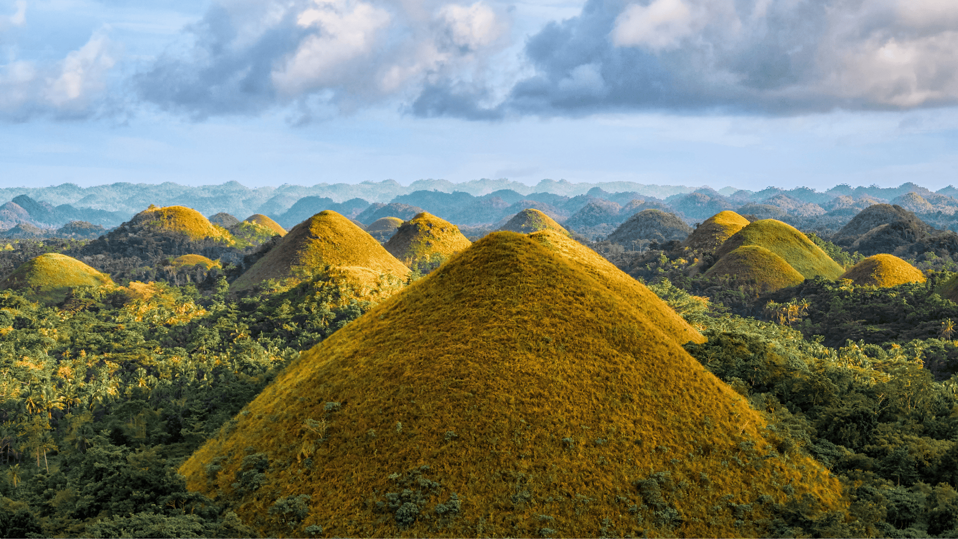 Chocolate Hills