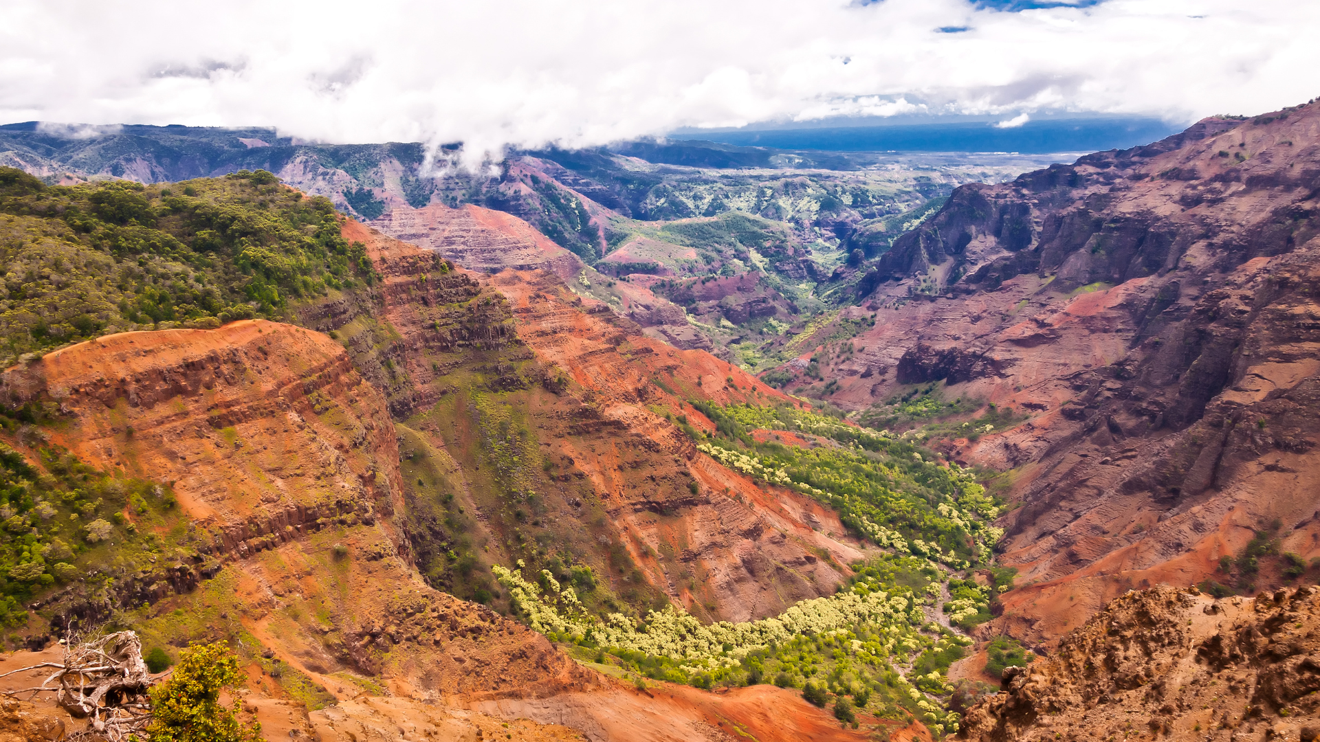 waimea canyon