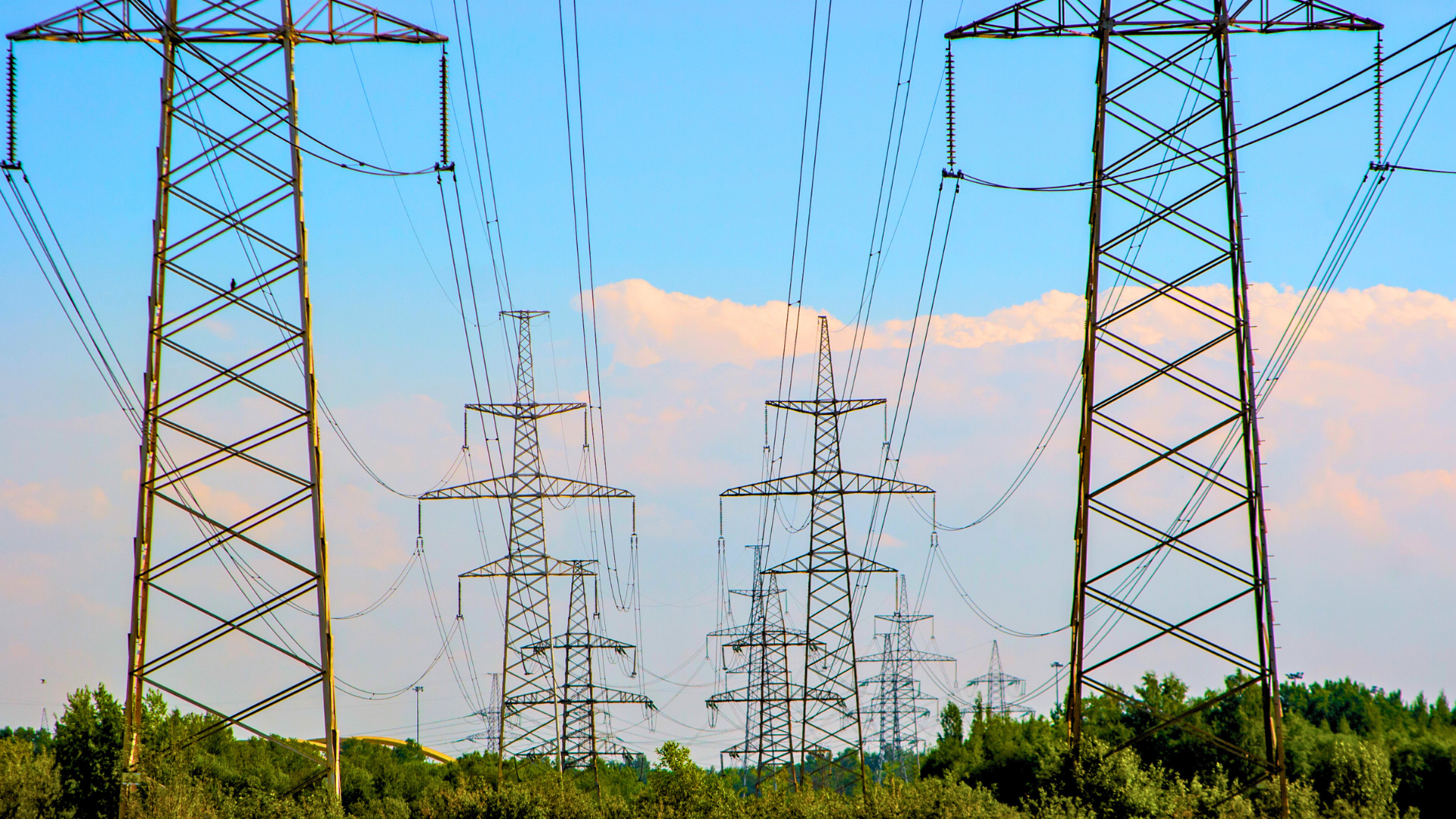electric grid smart grid