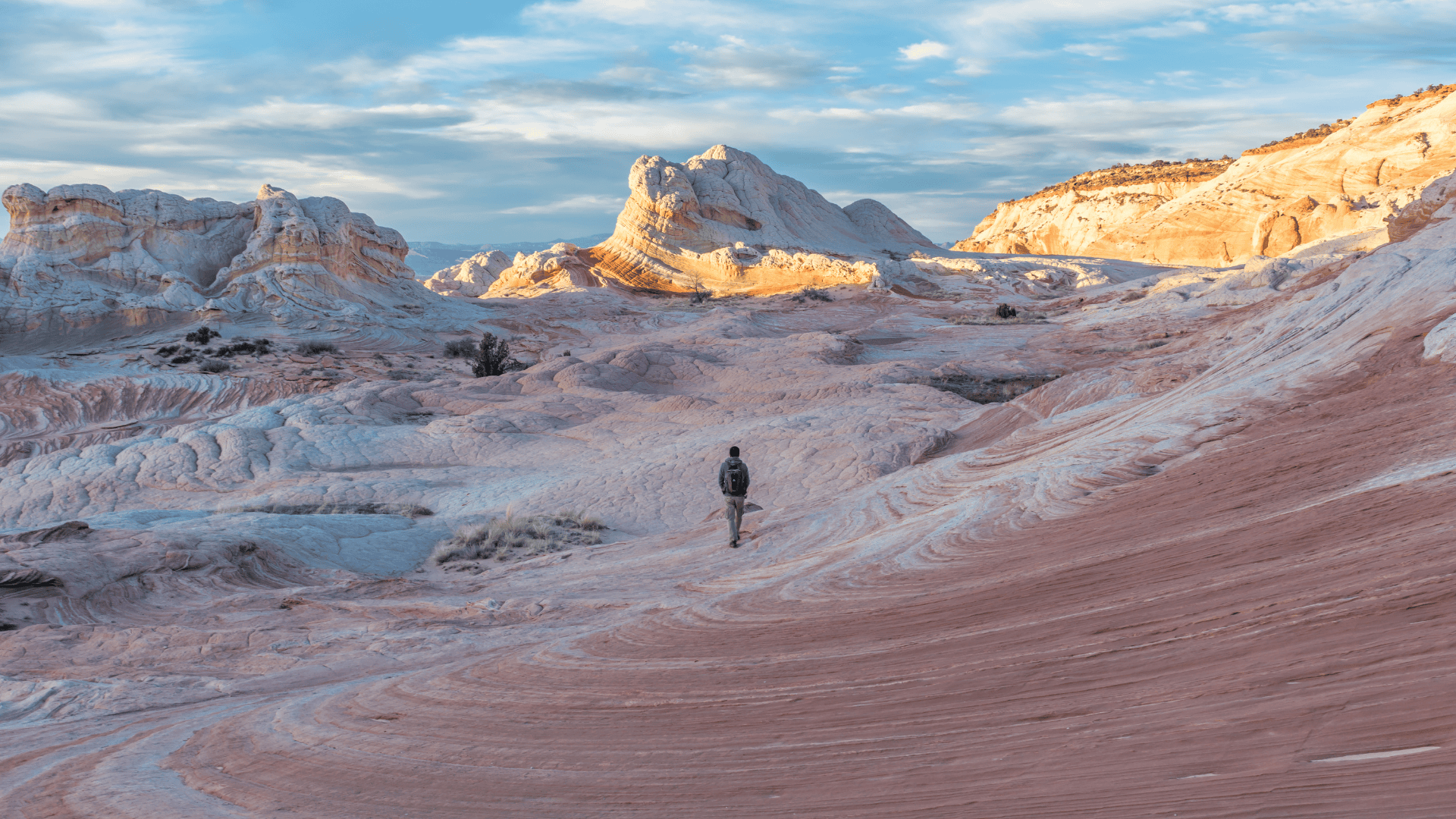 white pocket, arizona