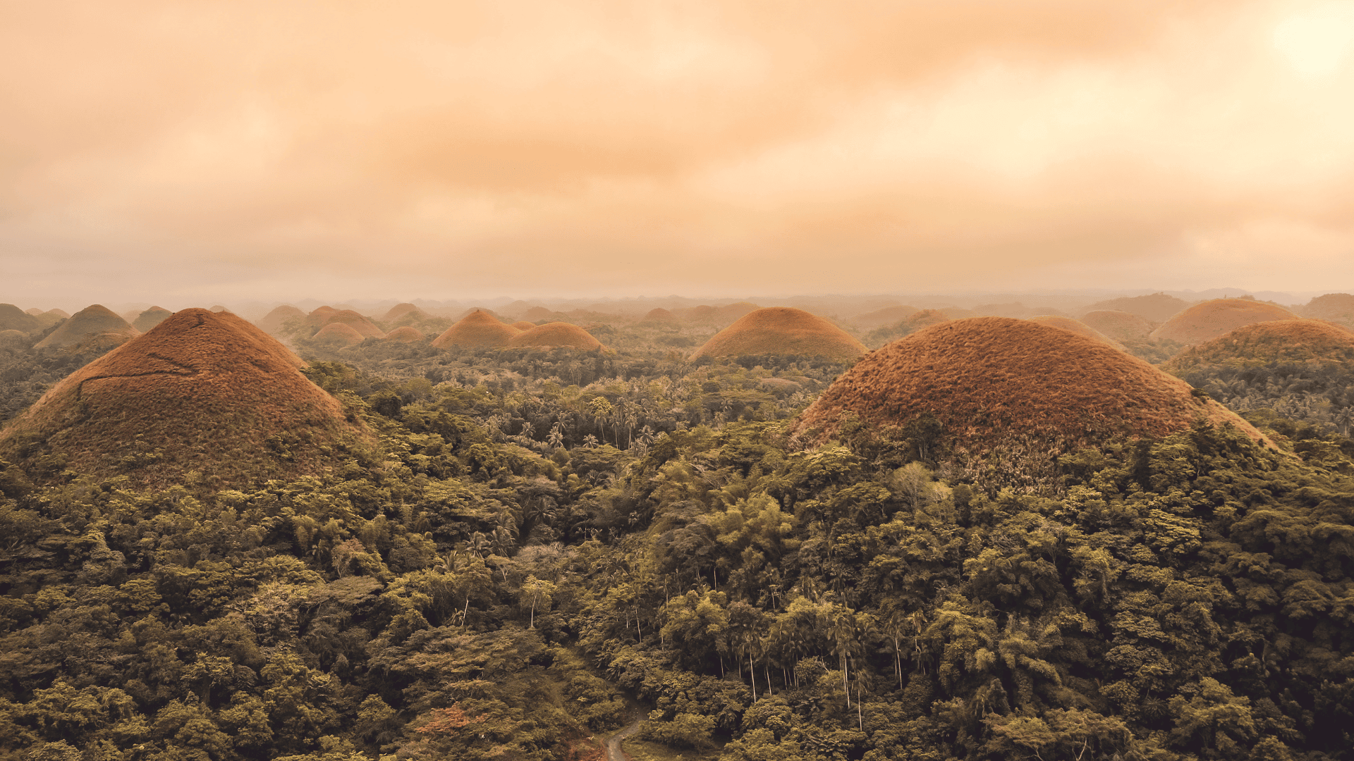 Chocolate Hills