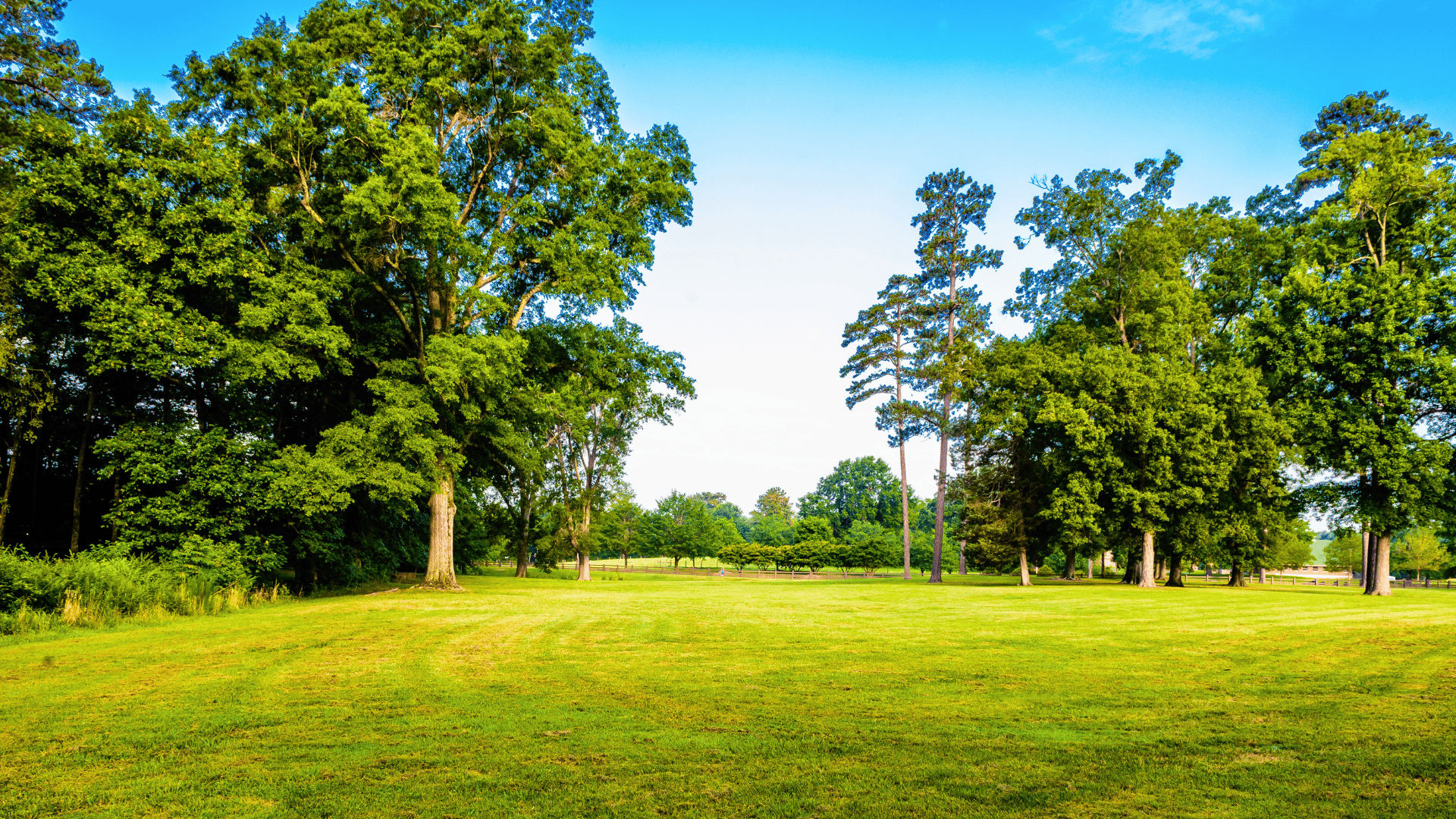 mental health green spaces wooded areas