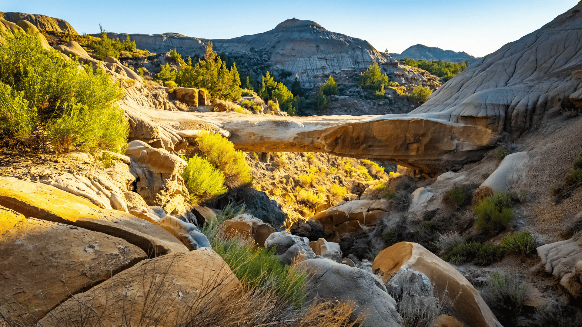 Makoshika State Park