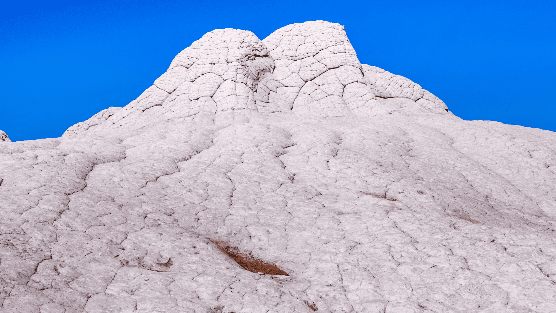 white pocket, arizona