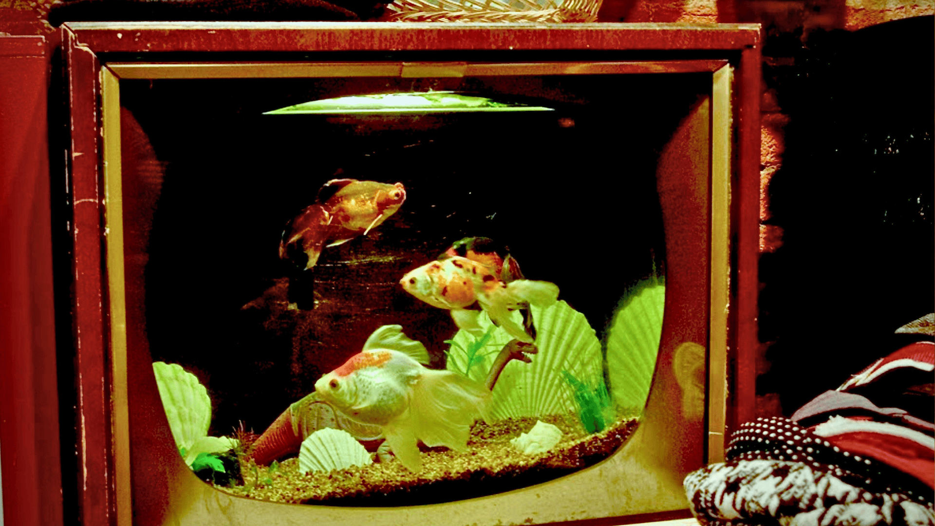 vintage TV upcycling recycling fish tank
