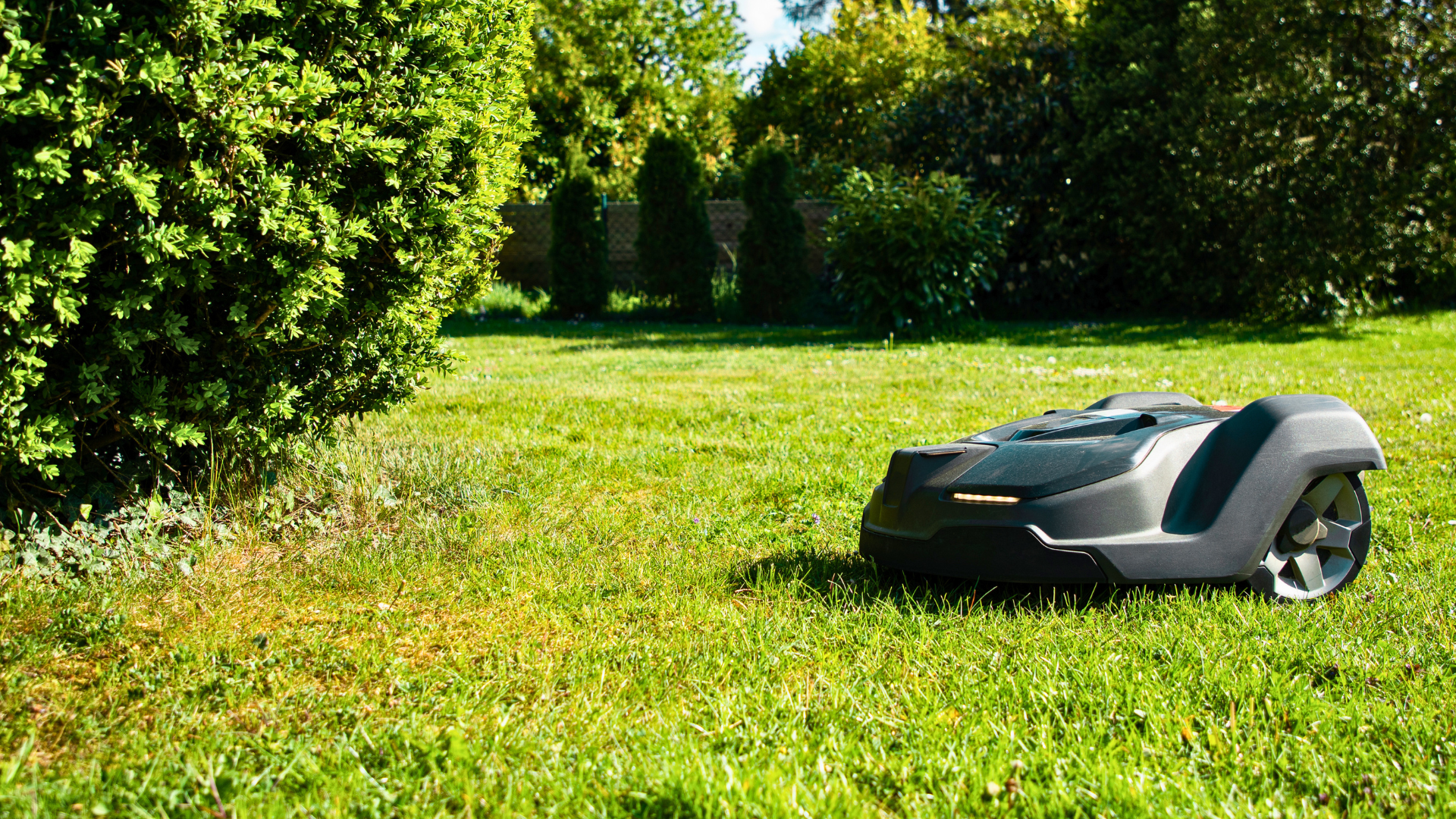 robot mower auto mower