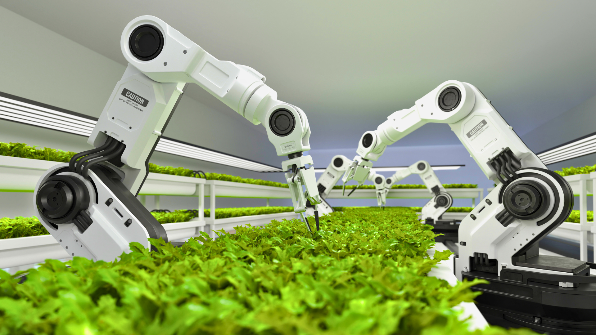 robots AI smart systems processes